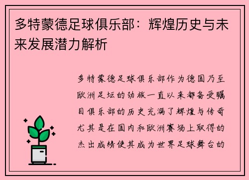 多特蒙德足球俱乐部：辉煌历史与未来发展潜力解析