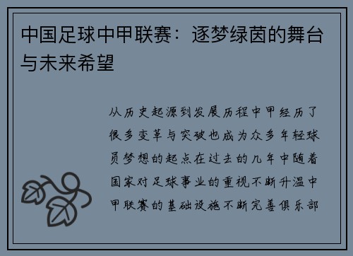 中国足球中甲联赛：逐梦绿茵的舞台与未来希望