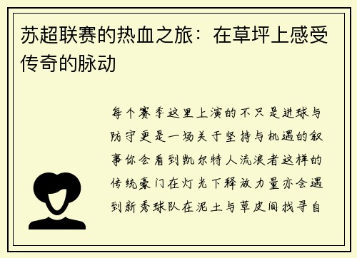 苏超联赛的热血之旅：在草坪上感受传奇的脉动